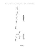 Plants Having Enhanced Yield-Related Traits and a Method for Making the Same diagram and image