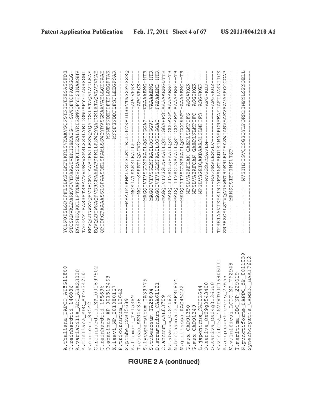 Plants Having Enhanced Yield-Related Traits and a Method for Making the Same - diagram, schematic, and image 05