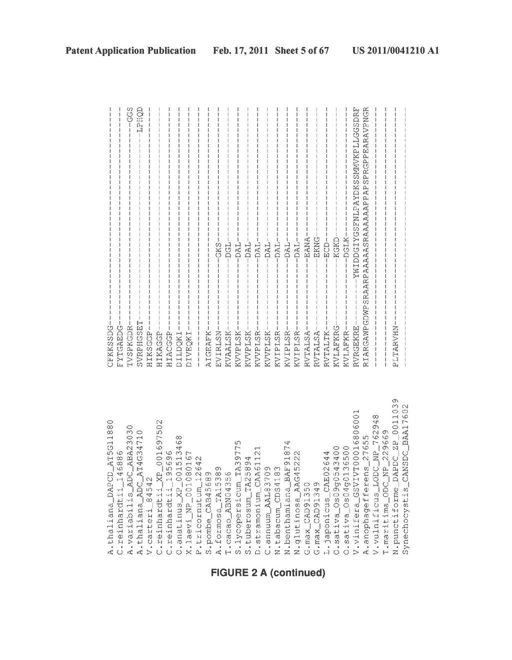 Plants Having Enhanced Yield-Related Traits and a Method for Making the Same - diagram, schematic, and image 06