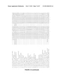 Plants Having Enhanced Yield-Related Traits and a Method for Making the Same diagram and image