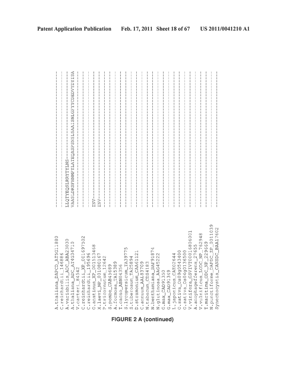 Plants Having Enhanced Yield-Related Traits and a Method for Making the Same - diagram, schematic, and image 19