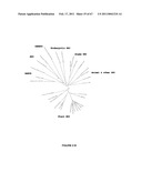 Plants Having Enhanced Yield-Related Traits and a Method for Making the Same diagram and image