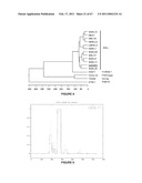 Plants Having Enhanced Yield-Related Traits and a Method for Making the Same diagram and image