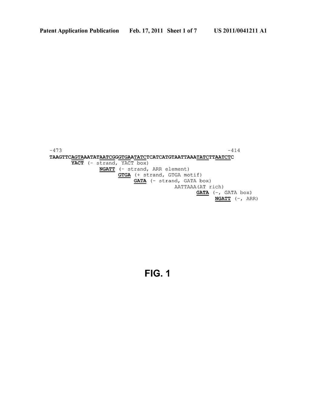 FIBER-SPECIFIC PROMOTER ELEMENTS - diagram, schematic, and image 02