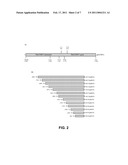 FIBER-SPECIFIC PROMOTER ELEMENTS diagram and image