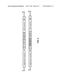 FIBER-SPECIFIC PROMOTER ELEMENTS diagram and image