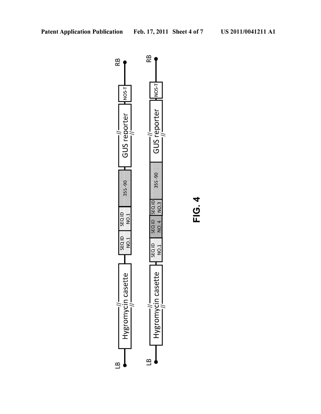 FIBER-SPECIFIC PROMOTER ELEMENTS - diagram, schematic, and image 05