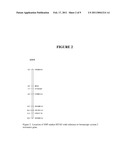 Genetic Markers For Orobanche Resistance in Sunflower diagram and image