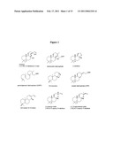 METHOD FOR PRODUCING SCLAREOL diagram and image