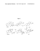 METHOD FOR PRODUCING SCLAREOL diagram and image