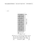 GREENHOUSE WINDBREAK MECHANISM diagram and image