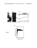 BILAYERS diagram and image