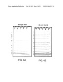 ELECTROPHORESIS GEL CASSETTE AND COMB diagram and image