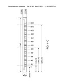 ELECTROPHORESIS GEL CASSETTE AND COMB diagram and image