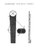 Optical fiber based sensor system suitable for monitoring remote aqueous infiltration diagram and image