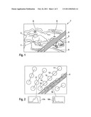 METHOD AND DEVICE FOR PROCESSING RECORDED IMAGE INFORMATION FROM A VEHICLE diagram and image