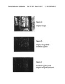 Apparatus and Method for a Dynamic  Region of Interest  in a Display System diagram and image