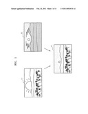 PHOTOGRAPHING APPARATUS AND METHOD diagram and image