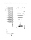 INTRUSION WARNING SYSTEM diagram and image