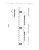 USER EQUIPMENT TERMINAL AND COMMUNICATION CONTROL METHOD diagram and image