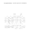 FULLY CONNECTED GENERALIZED MULTI-LINK MULTI-STAGE NETWORKS diagram and image