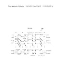 FULLY CONNECTED GENERALIZED MULTI-LINK MULTI-STAGE NETWORKS diagram and image