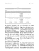 ZOOM LENS AND IMAGE PICKUP APPARATUS diagram and image