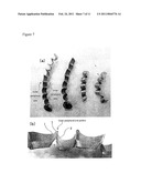 Drill, Cutting Insert, and Method of Manufacturing Cut Product diagram and image