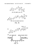 METHOD OF IMAGING LOCALIZED INFECTIONS diagram and image