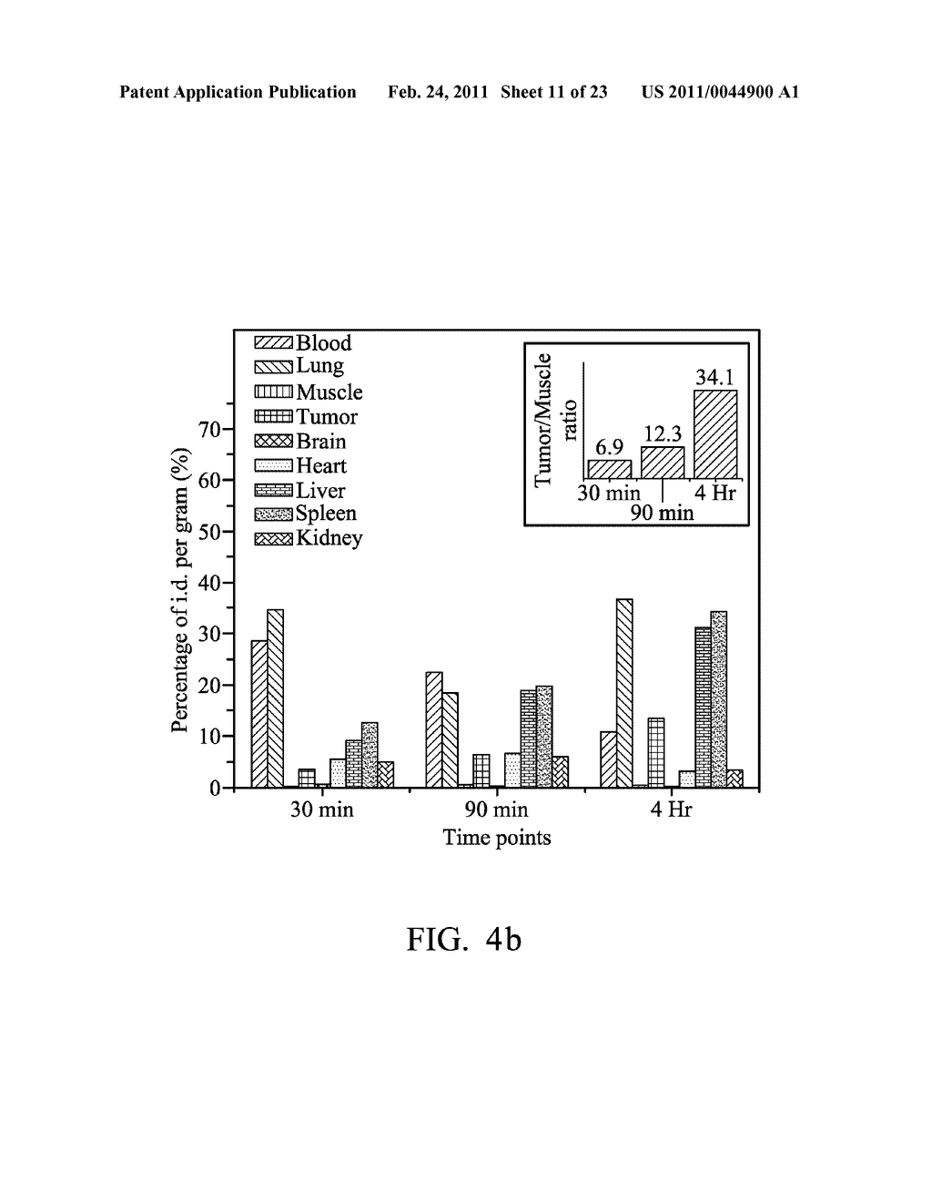 METHOD FOR TREATING AND/OR DIAGNOSING TUMOR BY GOLD PARTICLES COATED WITH A POLYMER - diagram, schematic, and image 12