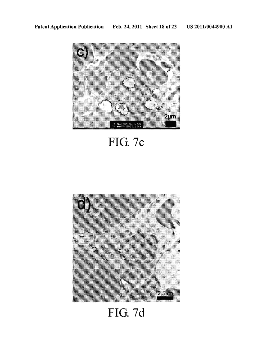 METHOD FOR TREATING AND/OR DIAGNOSING TUMOR BY GOLD PARTICLES COATED WITH A POLYMER - diagram, schematic, and image 19