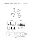 Modulation of the Immune Response diagram and image