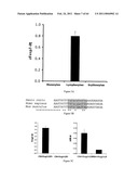 Modulation of the Immune Response diagram and image