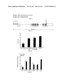 Modulation of the Immune Response diagram and image