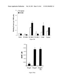 Modulation of the Immune Response diagram and image