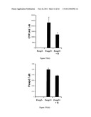 Modulation of the Immune Response diagram and image