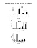 Modulation of the Immune Response diagram and image