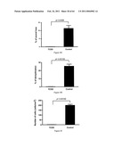 Modulation of the Immune Response diagram and image