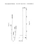 Modulation of the Immune Response diagram and image