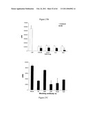 Modulation of the Immune Response diagram and image