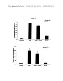 Modulation of the Immune Response diagram and image