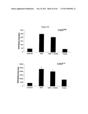 Modulation of the Immune Response diagram and image