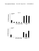 Modulation of the Immune Response diagram and image