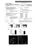 Methods and Compositions for Treating and Identifying Compounds to Treat Age-Related Macular Degeneration diagram and image