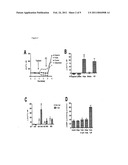 Methods and Compositions for Treating and Identifying Compounds to Treat Age-Related Macular Degeneration diagram and image