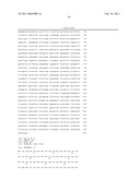 Methods and Compositions for Treating and Identifying Compounds to Treat Age-Related Macular Degeneration diagram and image