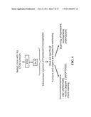 STAGED IMMUNE-RESPONSE MODULATION IN ONCOLYTIC THERAPY diagram and image