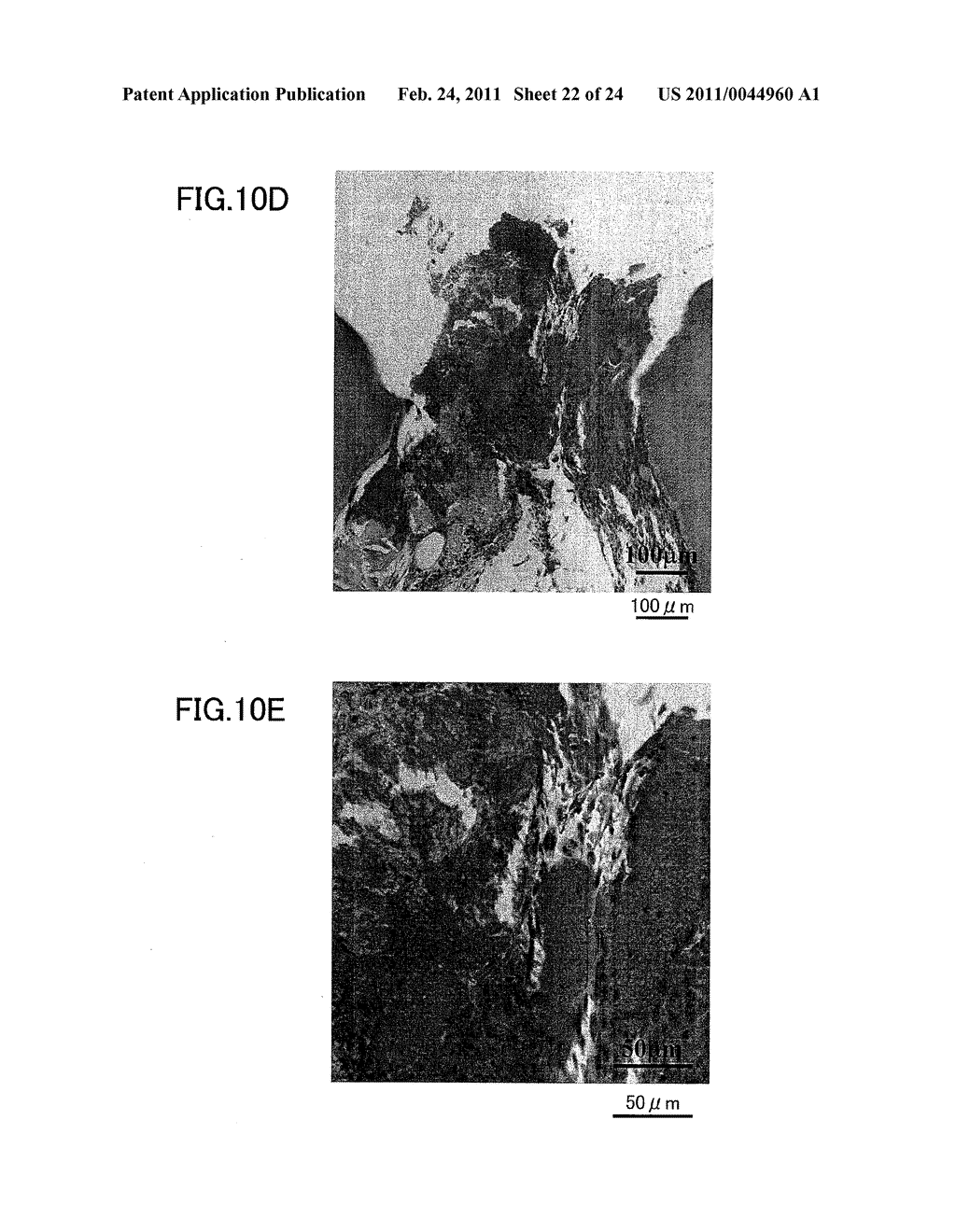 MEDICAMENT, DENTAL MATERIAL, AND METHOD OF SCREENING - diagram, schematic, and image 23