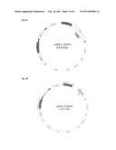 Generation of Induced Pluripotent Stem Cells from Cord Blood diagram and image