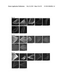 Generation of Induced Pluripotent Stem Cells from Cord Blood diagram and image